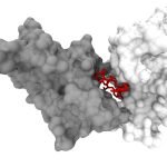 DeepMind Research Advances Protein Folding Predictions Further