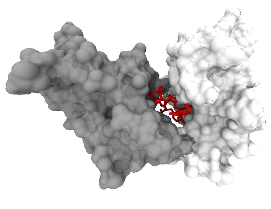 DeepMind Research Advances Protein Folding Predictions Further